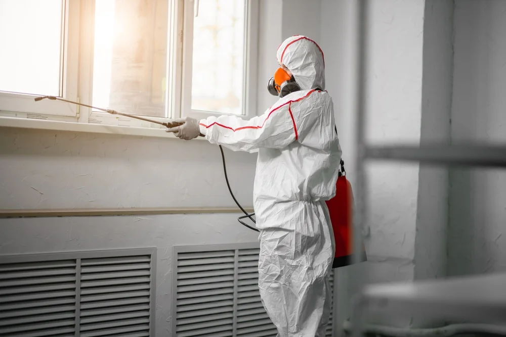 Professional mold remediation services in Chesterton, IN